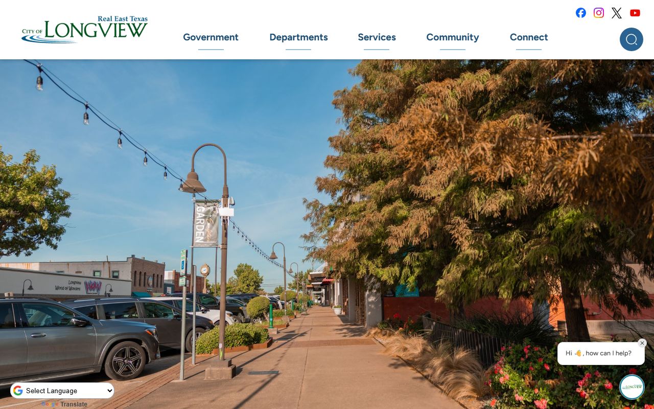 Longview busted mugshots police department website